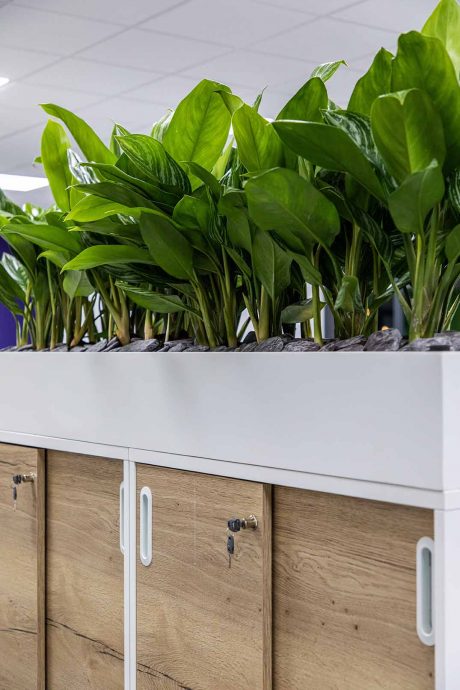 Vision Projects office design and refurbishments