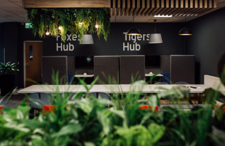 Seating area refurbishment for Taylor Hobson Leicester